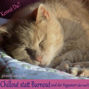 Jahresrückblick 2024 - Chillout statt Burnout