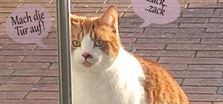 Katzen haben Personal Katzen haben Personal