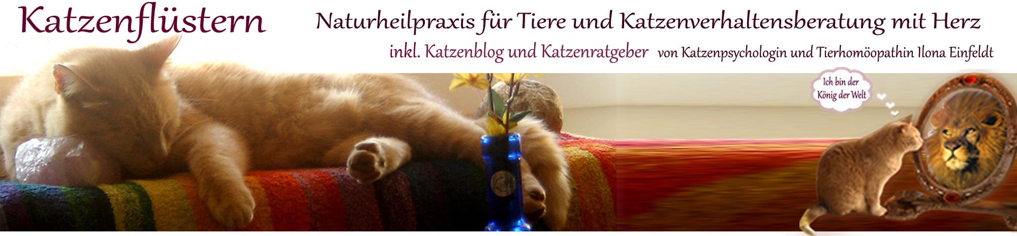 Katzenflüstern