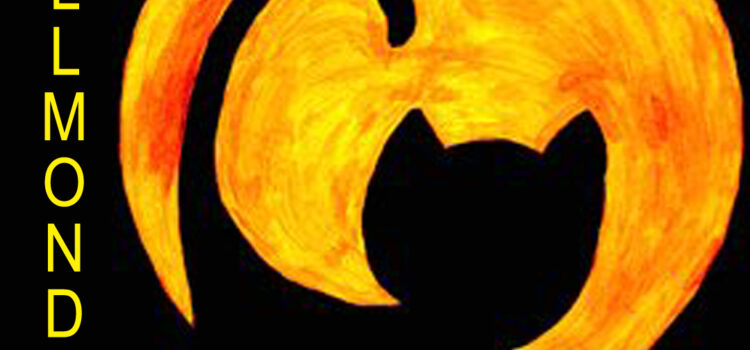 Katzen bei Vollmond Katzen bei Vollmond