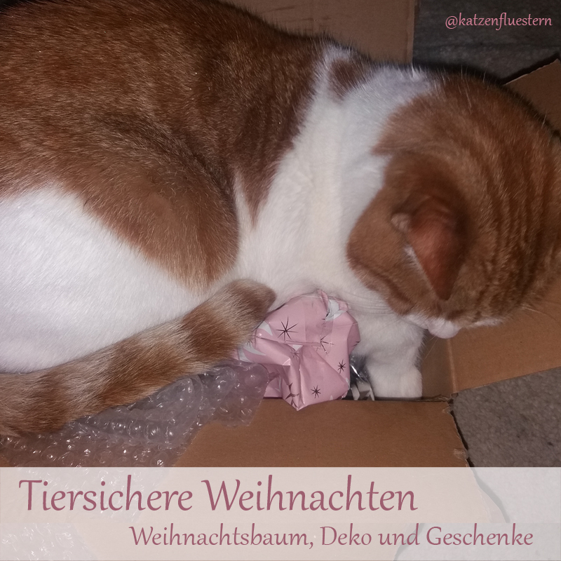 Tiersichere Weihnachten