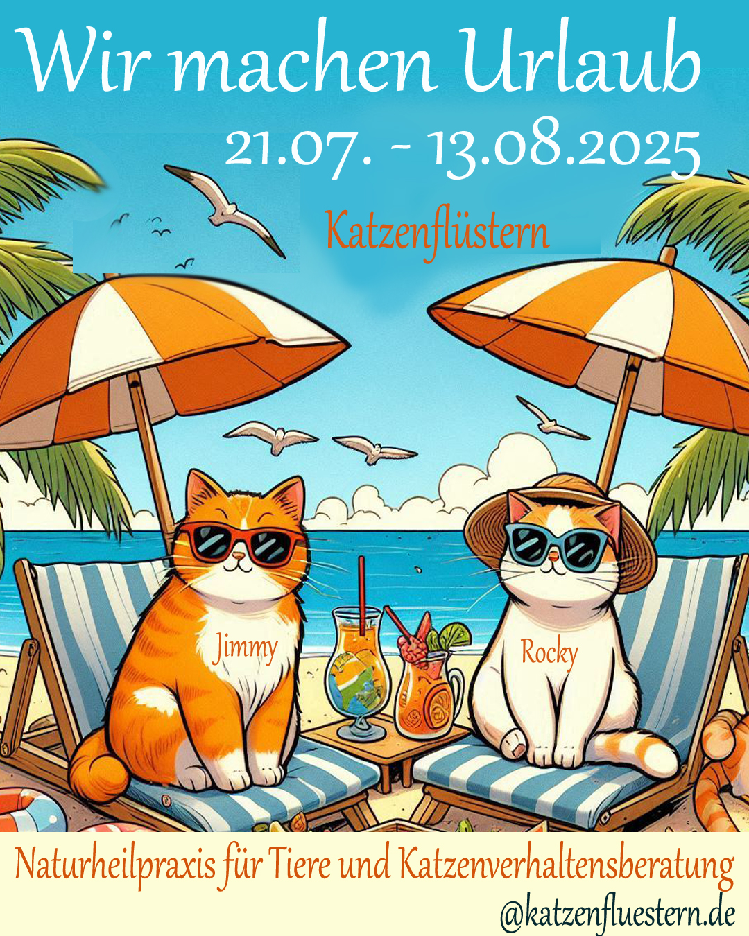 Sommerurlaub bei Katzenflüstern