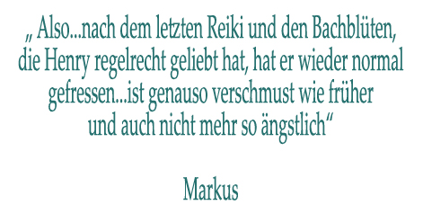 Bewertungen und Kundenstimmen für Reiki by Katzenflüstern