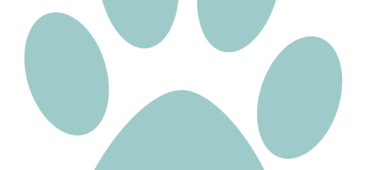 Test Test